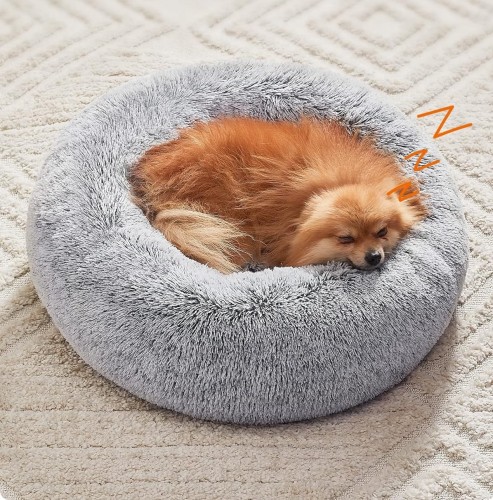 91SqnccQTxL._AC_SL1500_ (1).jpg